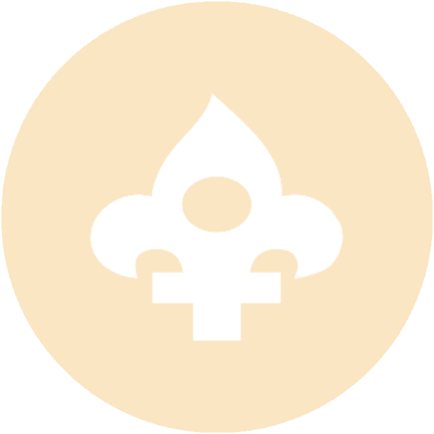 Allumettes creme