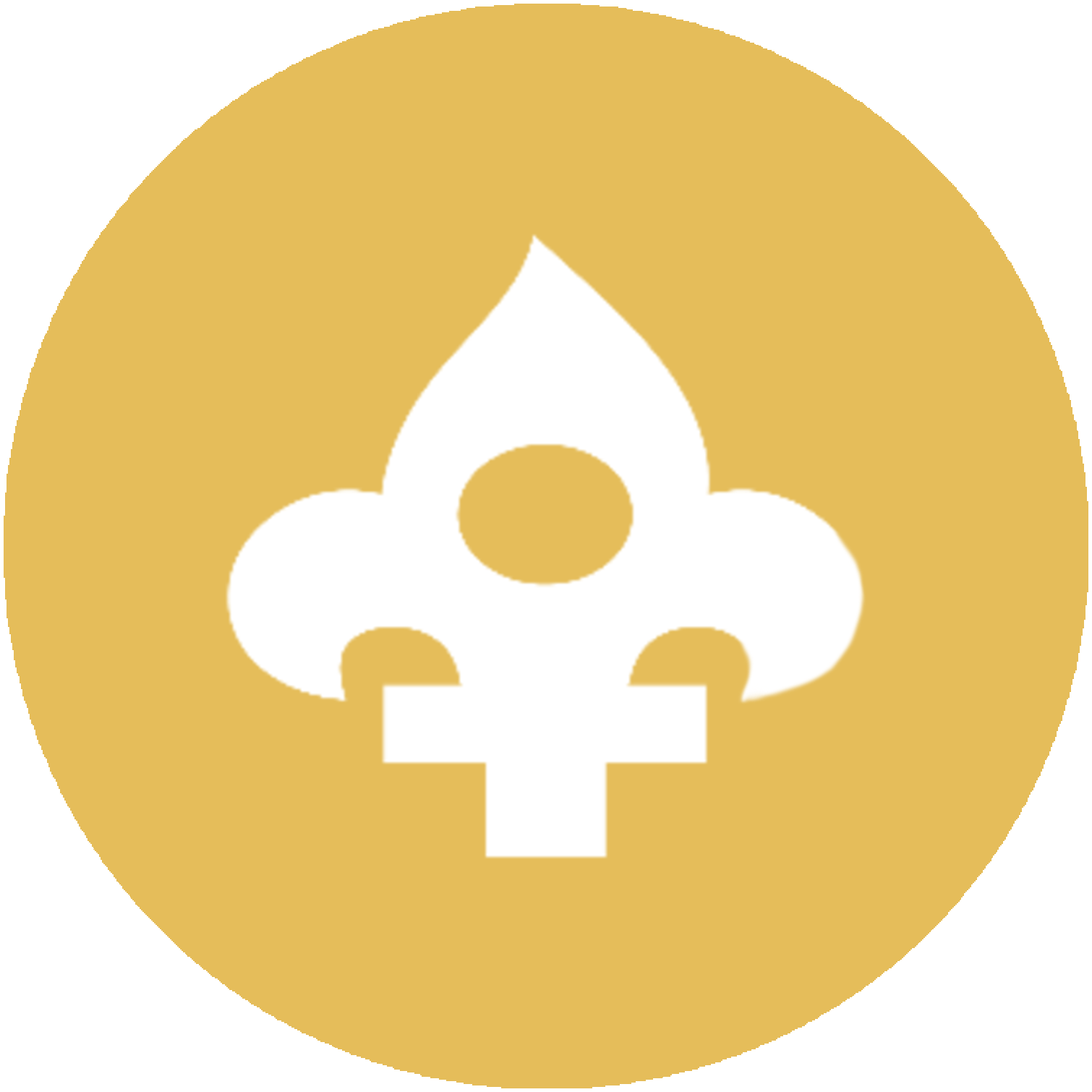 Allumettes jaune