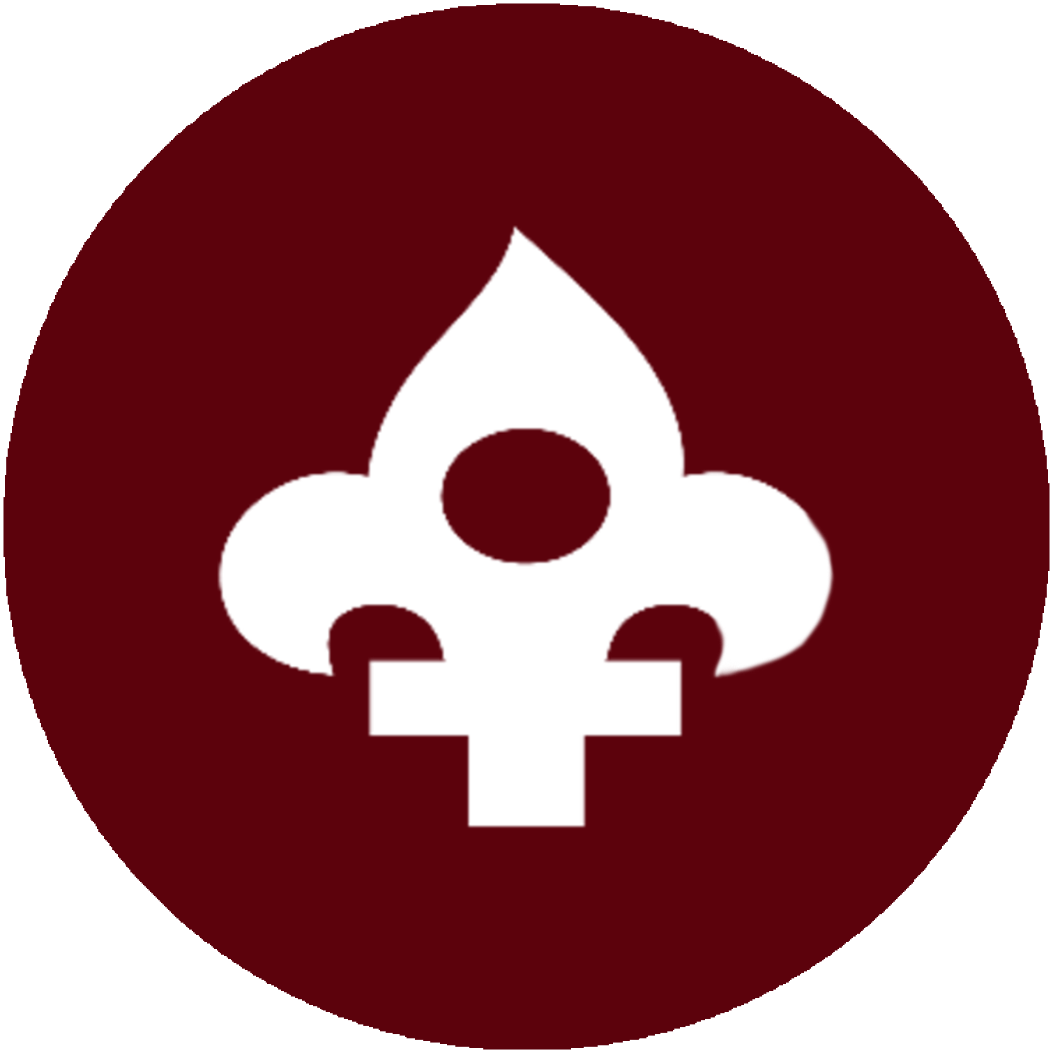 Allumettes marron